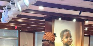 Nigeria Backs African Union Drive to Scale Up 2 Million Community Health Workers for Universal Health Coverage