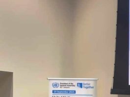 80th UNGA Tinubu Calls for Global Action on NCDs, Mental Health
