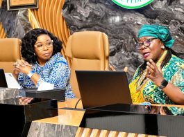 Federal Government Inaugurates Committees to Drive UNDP-Facilitated Civil Service Reforms