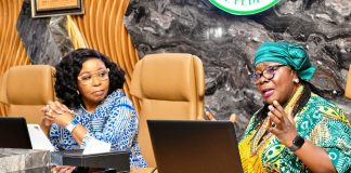 Federal Government Inaugurates Committees to Drive UNDP-Facilitated Civil Service Reforms