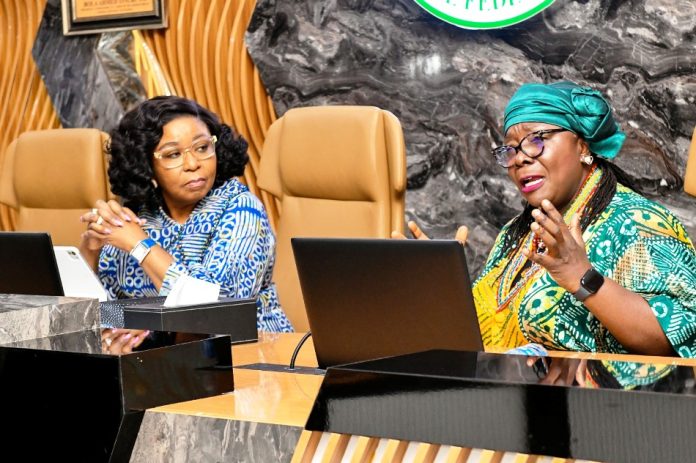 Federal Government Inaugurates Committees to Drive UNDP-Facilitated Civil Service Reforms