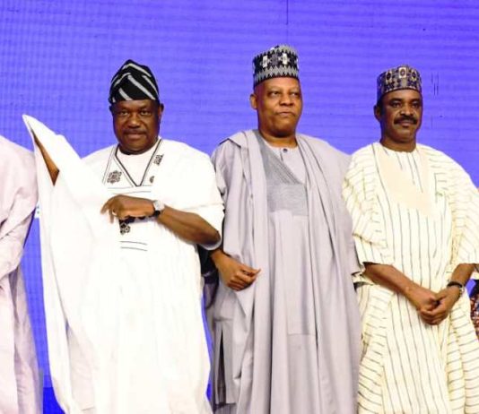 We’re Open To Investments, Collaboration Across Diverse Sectors In Nigeria, Says VP Shettima