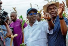 Edo Governor Promotes Economic Diversification Through Large-Scale Agriculture Edo Governor Promotes Economic Diversification Through Large-Scale Agriculture