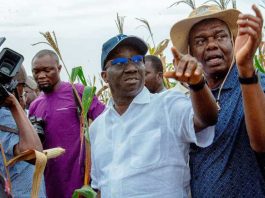 Edo Governor Promotes Economic Diversification Through Large-Scale Agriculture