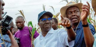 Edo Governor Promotes Economic Diversification Through Large-Scale Agriculture