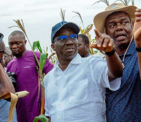 Edo Governor Promotes Economic Diversification Through Large-Scale Agriculture