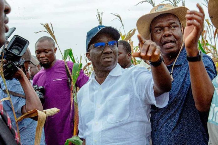 Edo Governor Promotes Economic Diversification Edo Governor Promotes Economic Diversification Through Large-Scale Agriculture