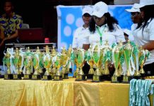 Nigeria Tops Medal Table As Abia Hosts Successful All African Para Badminton Championships 2025