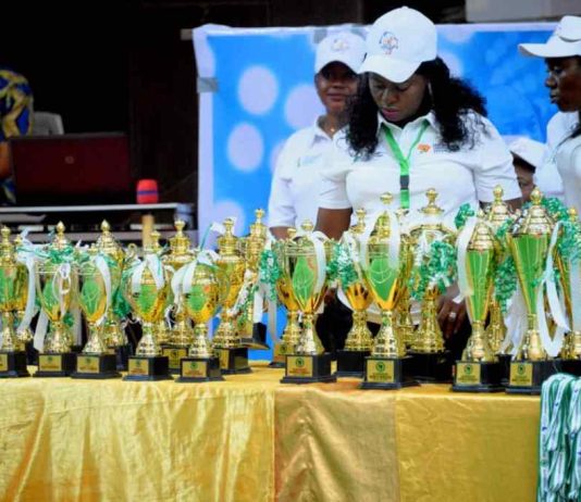 Nigeria Tops Medal Table As Abia Hosts Successful All African Para Badminton Championships 2025