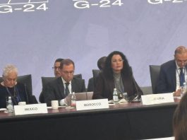 Nigeria Shines At G24 Meetings As Uzoka-Anite, Cardoso Lead Economic Talks