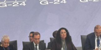 Nigeria Shines At G24 Meetings As Uzoka-Anite, Cardoso Lead Economic Talks