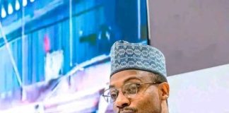 Kaduna Discovers Gold, Lithium, Copper Deposits