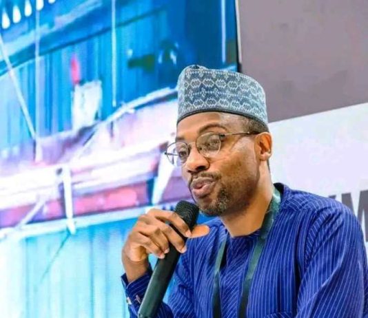 Kaduna Discovers Gold, Lithium, Copper Deposits