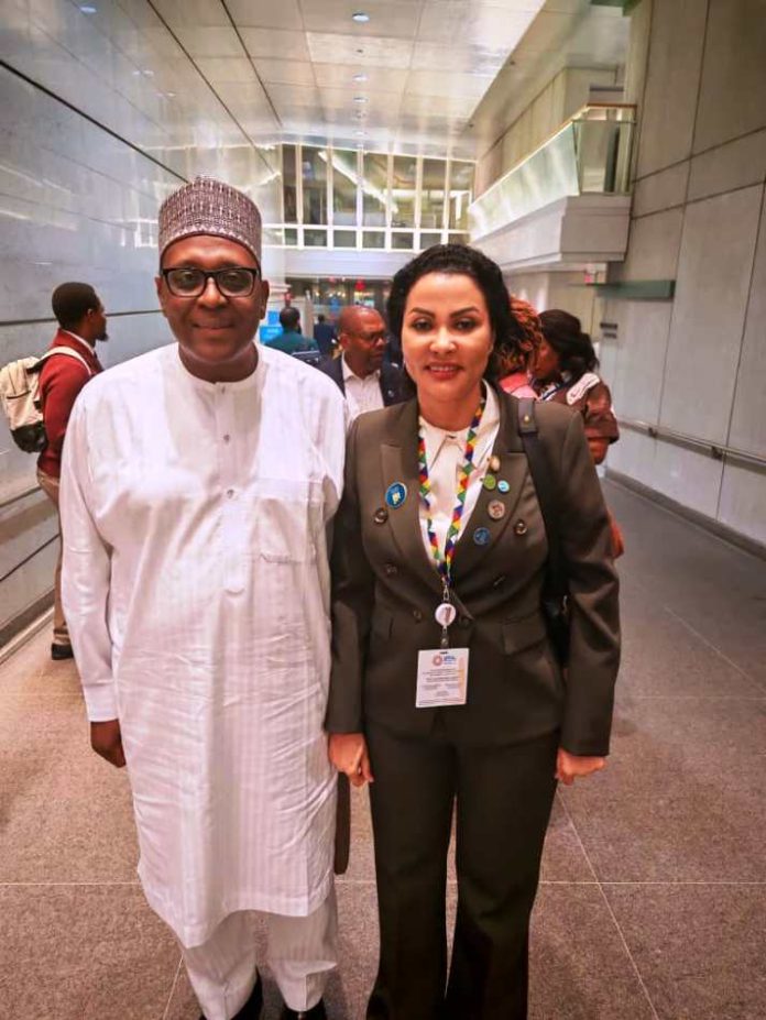 Nigeria's Health Sector Sees Remarkable Progress Under Macro-Economic Reforms, Says Uzoka-Anite