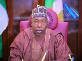 Borno State Governor, His Excellency, Professor Babagana Umara Zulum