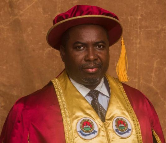 Professor Joash Ojo Amupitan (SAN)