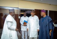 FG Steps Up Seed Certification Reforms To Strengthen Food Security