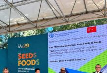 The Minister of Agriculture and Food Security, Sen Abubakar Kyari ( C), during the 2025 World Forum, held in Rome, Italy. FEDERAL MINISTRY OF AGRICULTURE AND FOOD SECURITY