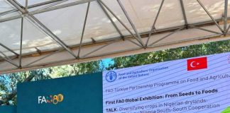 The Minister of Agriculture and Food Security, Sen Abubakar Kyari ( C), during the 2025 World Forum, held in Rome, Italy. FEDERAL MINISTRY OF AGRICULTURE AND FOOD SECURITY