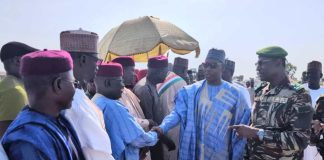Trans-Border Security Zulum travels to Niger Republic Community