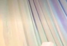 AMAC Chairman Garners Support As He Strives For Second Tenure Re-Election AMAC Chairman Garners Support As He Strives For Second Tenure Re-Election