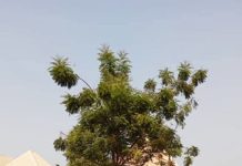 BSEMA, IOM Strengthen Partnership To Deliver Critical Humanitarian Interventions In Benue