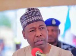 Borno State Governor, His Excellency, Professor Babagana Umara Zulum