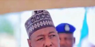 Borno State Governor, His Excellency, Professor Babagana Umara Zulum