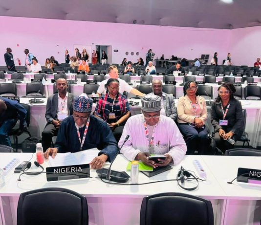 National Statement Of His Excellency, Bola Ahmed Tinubu GCFR, President Of The Federal Republic Of Nigeria Delivered By Balarabe Abbas Lawal, Minister Of Environment At The Thirtieth Session Of The Conference Of The Parties Of The United Nations Framework Convention On Climate Change (UNFCCC COP30) At Blue Zone, Belem, Brazil On 17th November, 2025
