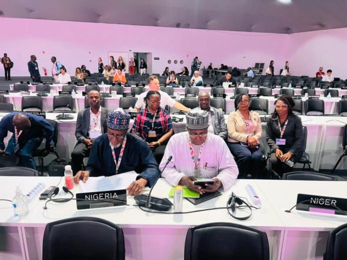 National Statement Of His Excellency, Bola Ahmed Tinubu GCFR, President Of The Federal Republic Of Nigeria Delivered By Balarabe Abbas Lawal, Minister Of Environment At The Thirtieth Session Of The Conference Of The Parties Of The United Nations Framework Convention On Climate Change (UNFCCC COP30) At Blue Zone, Belem, Brazil On 17th November, 2025