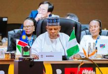 At G20 Summit: President Tinubu Demands Equity In Global Mineral Trade, AI Governance