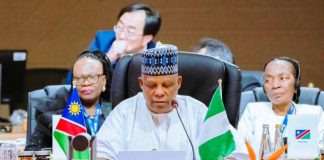 At G20 Summit: President Tinubu Demands Equity In Global Mineral Trade, AI Governance