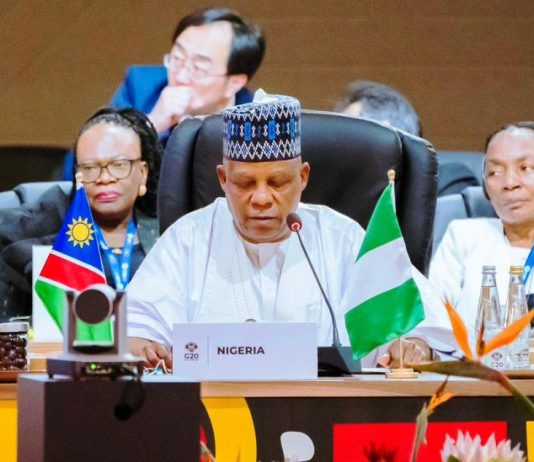 At G20 Summit: President Tinubu Demands Equity In Global Mineral Trade, AI Governance