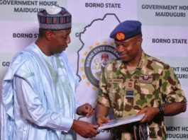 Zulum Called For a Coordinated Military Operation In Lake Chad