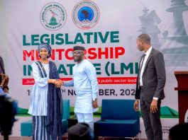 Art And Culture Key To Nigeria's Public Sector Excellence