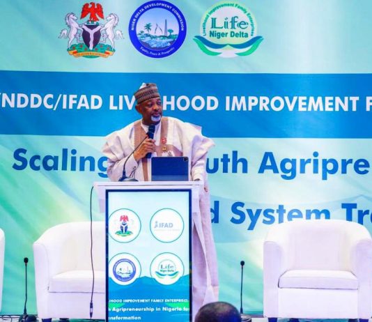 The Minister of Agriculture and Food Security, Sen Abubakar Kyari during the High-Level Event in Abuja