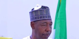 Borno State Governor, His Excellency, Professor Babagana Umara Zulum