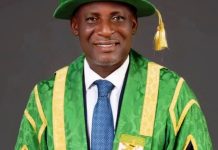 Professor Daniel Nwachukwu