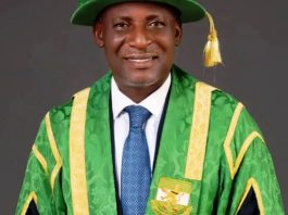 Professor Daniel Nwachukwu