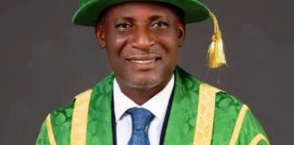 Professor Daniel Nwachukwu