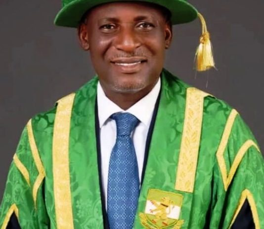 Professor Daniel Nwachukwu