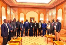 African Ministers Of Minerals Re-Elect Alake As AMSG Chair