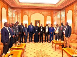 African Ministers Of Minerals Re-Elect Alake As AMSG Chair