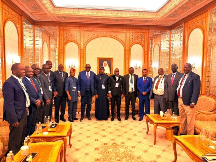 African Ministers Of Minerals Re-Elect Alake As AMSG Chair