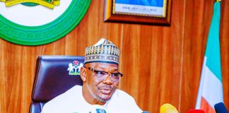 Nasarawa State Governor, His Excellency, Abdullahi Sule