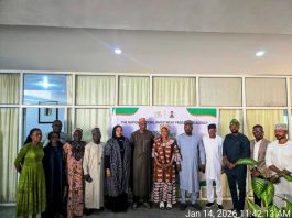 NSIPA Holds Workshop On Result-Driven Performance Assessment Of Deliverables And Indicators