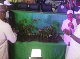 Ododo Launches 2026 Cashew Season, Promises 5m Seedlings to Farmers