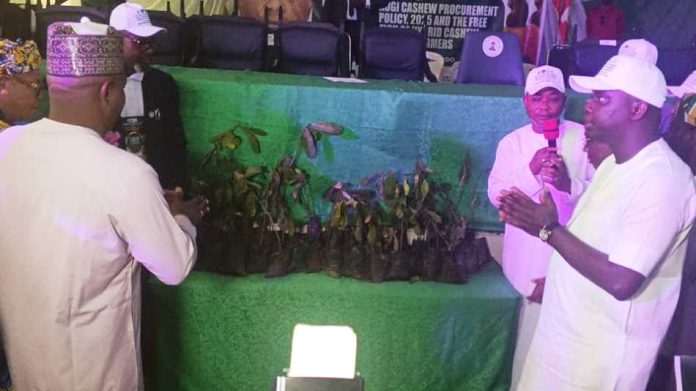Ododo Launches 2026 Cashew Season, Promises 5m Seedlings to Farmers