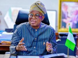 Minister of Marine and Blue Economy, Dr Adegboyega Oyetola, CON.