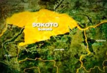 Federal Government Pledges Support For Livestock, Lays Foundation For Service Centre In Sokoto